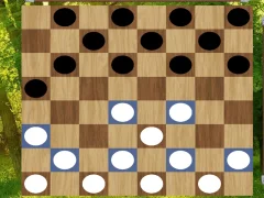 Igra Classic Checkers: Forest online