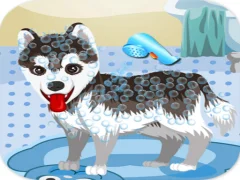 Igra My Cute Dog Bathing online