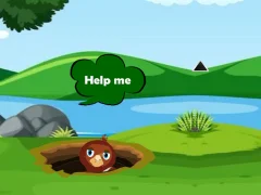 Igra Help Injured Bird Fallen Down online