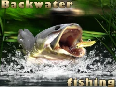 Igra Backwater Fishing online