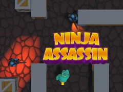 Igra Ninja Assassin online