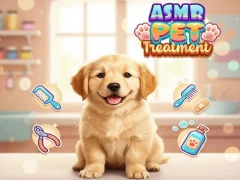 Igra Asmr Pet Treatment online