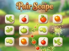 Igra Pair Scape online