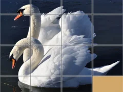 Igra Animals Slide Puzzle online