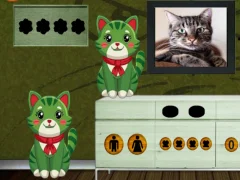 Igra Find the Curious Freaky Cat online