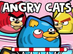 Igra Angry Cats online