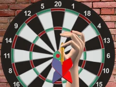 Igra Darts 501 online