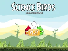 Igra Science Birds online