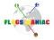 Igra Flags Maniac online