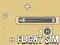Igra Flight Sim online