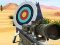 Igra Hit Targets Shooting online