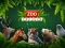 Igra ZOO Trivia online