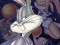Igra Space Jam online