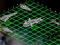 Igra Intergalactic Battleships online