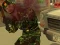 Igra Armed Forces vs Gangs online