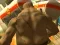 Igra Monster Simulator online