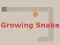 Igra Growing Snake online