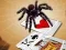 Igra Jumping Spider online