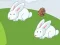 Igra Crazy Eggs online