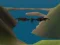 Igra Sky of Dragons Rule the sky online