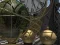 Igra Planetarium online