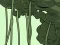 Igra Abandoned the Forest online