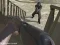 Igra Western:Invasion online