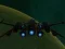 Igra Spaceship Arena online