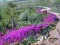 Igra Vanishing Trail online