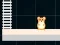 Igra Hamster Grid Even Odd online