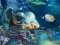 Igra Sunken Gold online