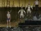 Igra Mrs Bullet: Perfect Gunshot online