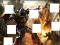 Igra Transformers 3 image puzzles online