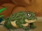 Igra Frogs Matching online