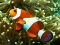 Igra Underwater Hidden Numbers online