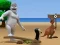 Igra Albatross Overload online