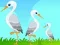 Igra Little Garden Escape online