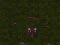 Igra Starcraft 3 online