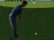 Igra Flash Golf 3D online