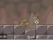 Igra Roly-Poly Eliminator 2 online
