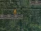 Igra Bunny Adventure online