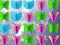 Igra Butterfly Collector online