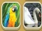 Igra Match Zoo online