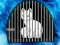 Igra Snow Fox Escape online