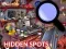 Igra Hidden Spots In The Room online