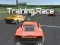 Igra Training Race online
