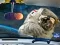 Igra Space Find The Differences online