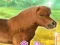 Igra My Dear Pony online