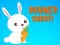 Igra Runner Rabbit online