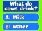 Igra Trivia Best Family Quiz online